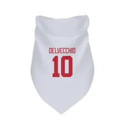 Detroit Red Wings Alex Delvecchio White Pet Bandana for Dog & Cat