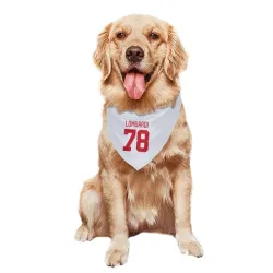 Detroit Red Wings Amadeus Lombardi White Pet Bandana for Dog & Cat