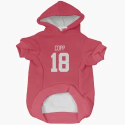 Detroit Red Wings Andrew Copp Red Pet Hoodie for Dog & Cat