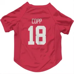 Detroit Red Wings Andrew Copp Red Pet Jersey for Dog & Cat