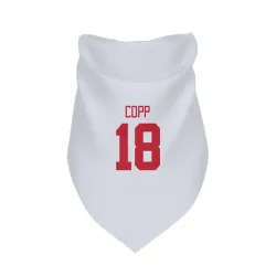 Detroit Red Wings Andrew Copp White Pet Bandana for Dog & Cat