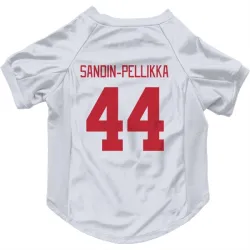Detroit Red Wings Axel Sandin-Pellikka White Pet Jersey for Dog & Cat
