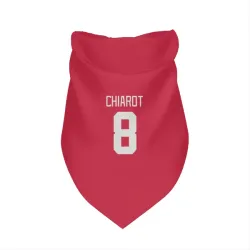 Detroit Red Wings Ben Chiarot Red Pet Bandana for Dog & Cat