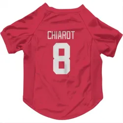 Detroit Red Wings Ben Chiarot Red Pet Jersey for Dog & Cat