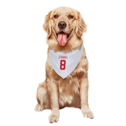 Detroit Red Wings Ben Chiarot White Pet Bandana for Dog & Cat