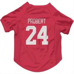 Detroit Red Wings Bob Probert Red Pet Jersey for Dog & Cat
