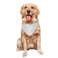 Detroit Red Wings Brendan Shanahan Black Pet Bandana for Dog & Cat