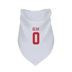Detroit Red Wings Carter Bear White Pet Bandana for Dog & Cat