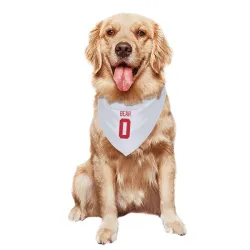 Detroit Red Wings Carter Bear White Pet Bandana for Dog & Cat