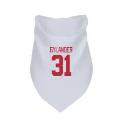Detroit Red Wings Carter Gylander White Pet Bandana for Dog & Cat