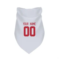 Detroit Red Wings Custom White Pet Bandana for Dog & Cat