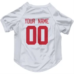 Detroit Red Wings Custom White Pet Jersey for Dog & Cat