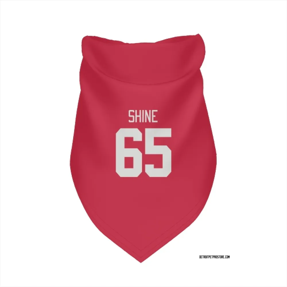 Detroit Red Wings Dominik Shine Red Pet Bandana for Dog & Cat