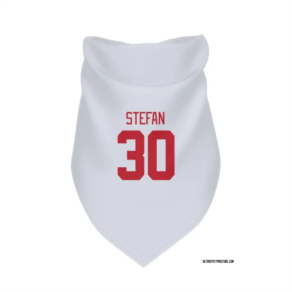 Detroit Red Wings Greg Stefan White Pet Bandana for Dog & Cat