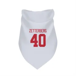 Detroit Red Wings Henrik Zetterberg White Pet Bandana for Dog & Cat