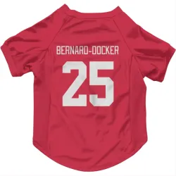 Detroit Red Wings Jacob Bernard-Docker Red Pet Jersey for Dog & Cat