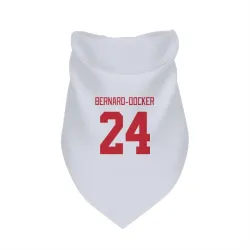 Detroit Red Wings Jacob Bernard-Docker White Pet Bandana for Dog & Cat