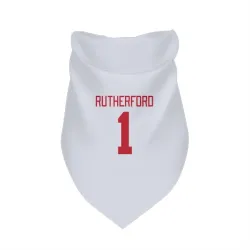 Detroit Red Wings Jim Rutherford White Pet Bandana for Dog & Cat
