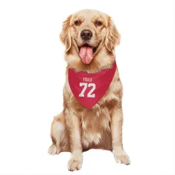 Detroit Red Wings Justin Faulk Red Pet Bandana for Dog & Cat