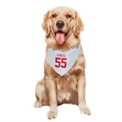 Detroit Red Wings Keith Primeau White Pet Bandana for Dog & Cat