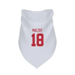 Detroit Red Wings Kirk Maltby White Pet Bandana for Dog & Cat
