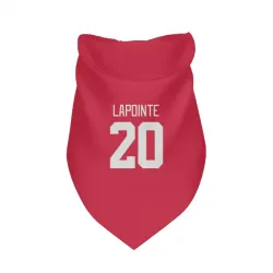 Detroit Red Wings Martin Lapointe Red Pet Bandana for Dog & Cat
