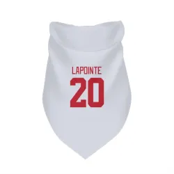 Detroit Red Wings Martin Lapointe White Pet Bandana for Dog & Cat