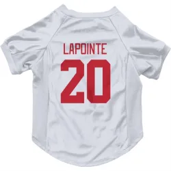 Detroit Red Wings Martin Lapointe White Pet Jersey for Dog & Cat