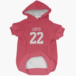 Detroit Red Wings Matthew Lorito Red Pet Hoodie for Dog & Cat