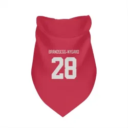 Detroit Red Wings Michael Brandsegg-Nygard Red Pet Bandana for Dog & Cat
