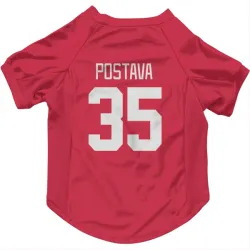 Detroit Red Wings Michal Postava Red Pet Jersey for Dog & Cat