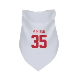 Detroit Red Wings Michal Postava White Pet Bandana for Dog & Cat