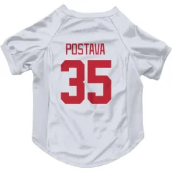 Detroit Red Wings Michal Postava White Pet Jersey for Dog & Cat