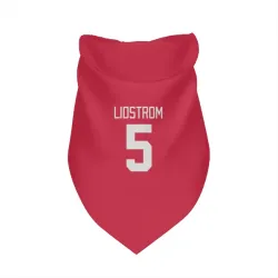 Detroit Red Wings Nicklas Lidstrom Red Pet Bandana for Dog & Cat