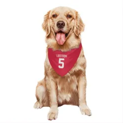 Detroit Red Wings Nicklas Lidstrom Red Pet Bandana for Dog & Cat