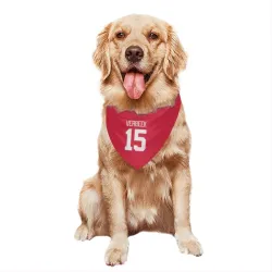 Detroit Red Wings Pat Verbeek Red Pet Bandana for Dog & Cat