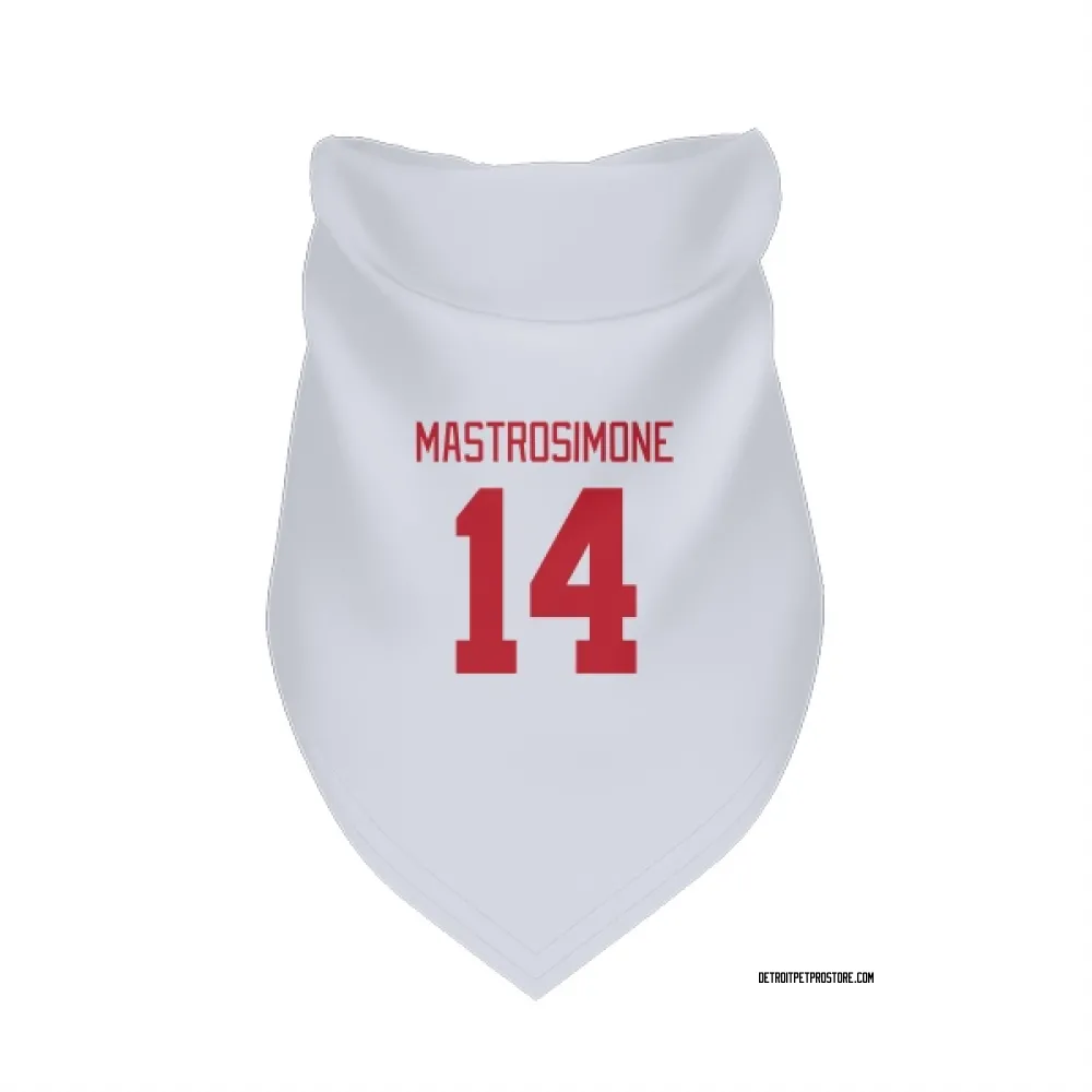 Detroit Red Wings Robert Mastrosimone White Pet Bandana for Dog & Cat