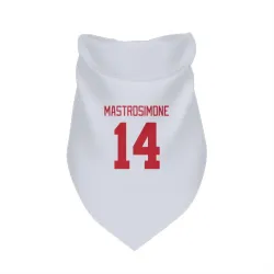 Detroit Red Wings Robert Mastrosimone White Pet Bandana for Dog & Cat