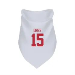 Detroit Red Wings Sheldon Dries White Pet Bandana for Dog & Cat