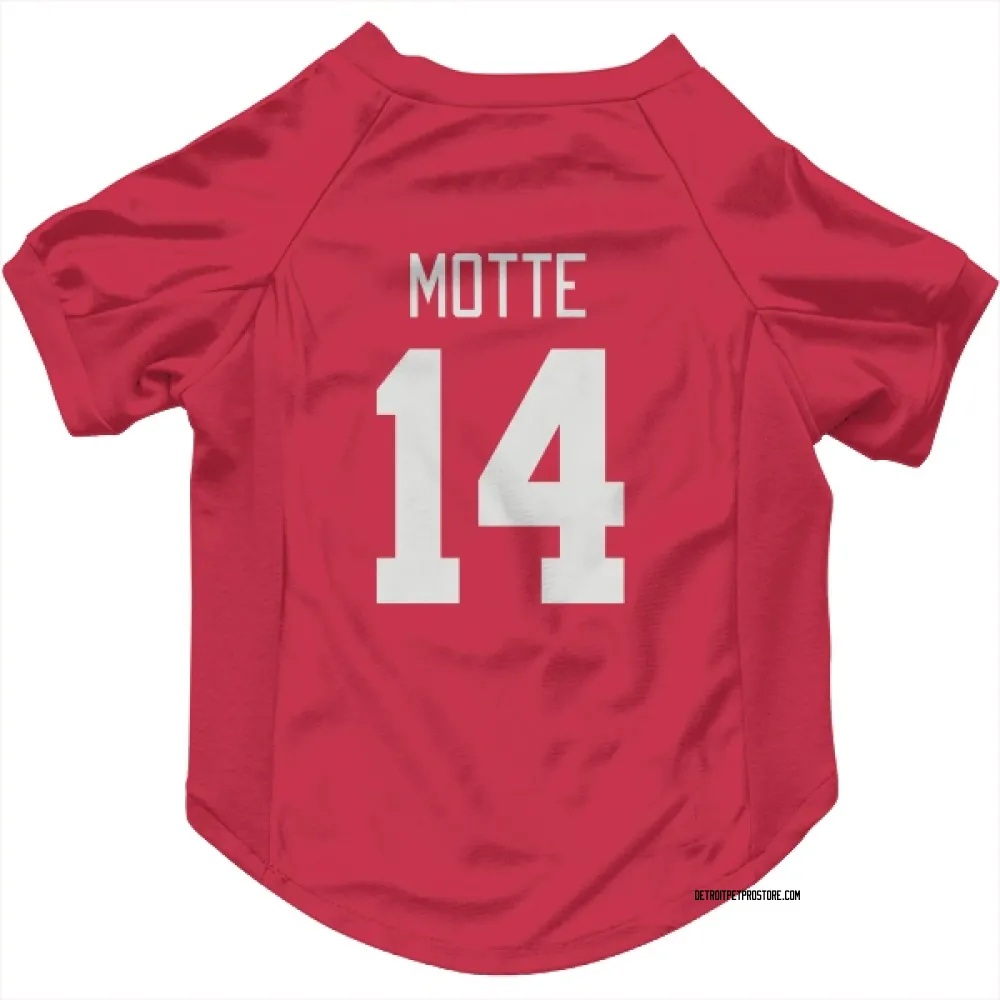 Detroit Red Wings Tyler Motte Red Pet Jersey for Dog & Cat