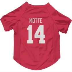 Detroit Red Wings Tyler Motte Red Pet Jersey for Dog & Cat