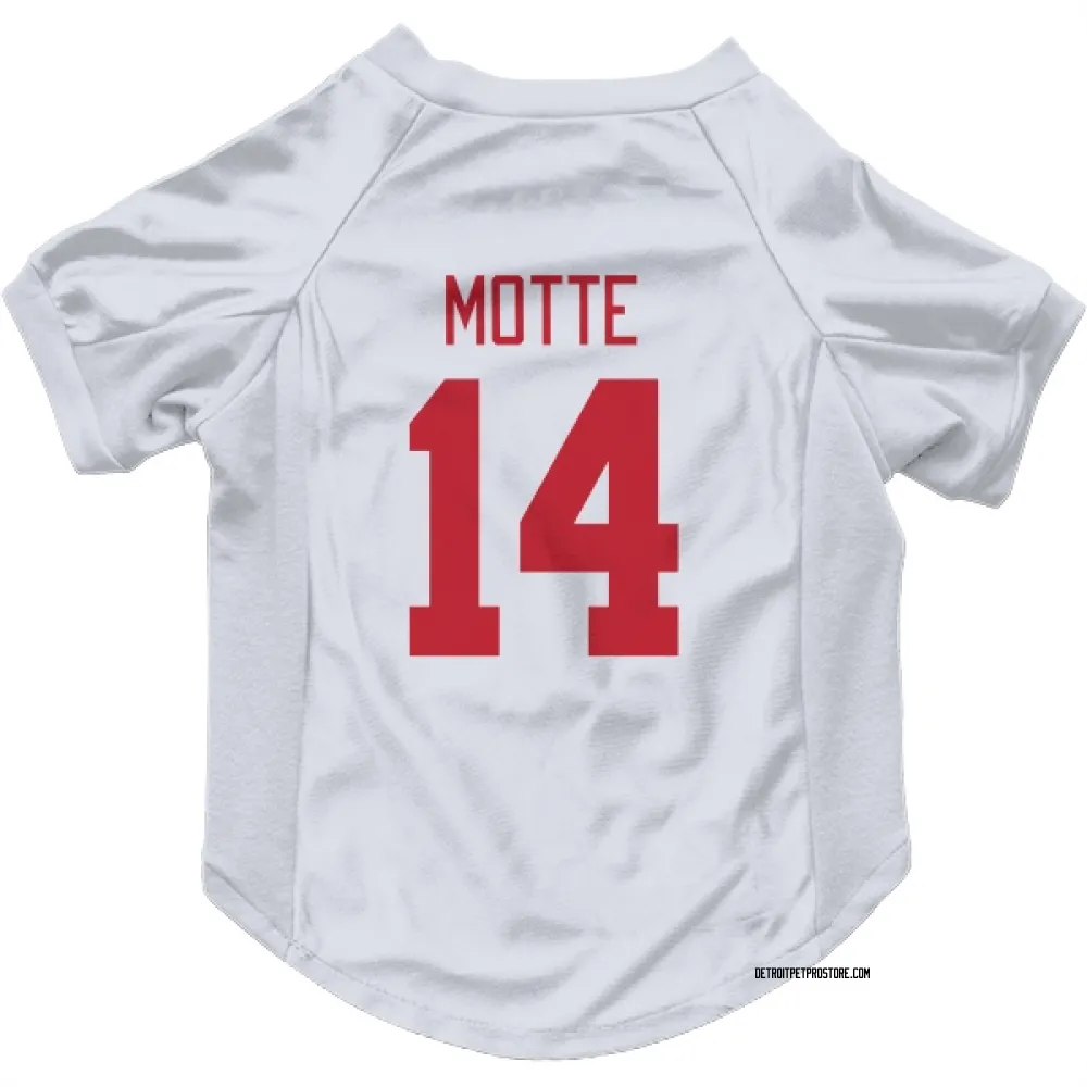 Detroit Red Wings Tyler Motte White Pet Jersey for Dog & Cat