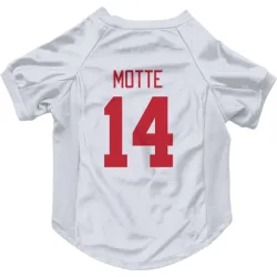 Detroit Red Wings Tyler Motte White Pet Jersey for Dog & Cat